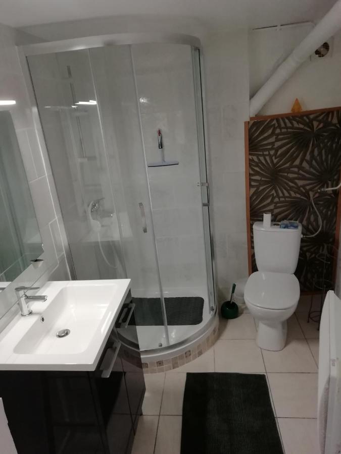 شقة Location Saisonniere Cozes المظهر الخارجي الصورة